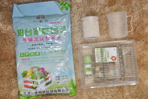 陪孩子上堂種植課 一米田智能種植伴侶