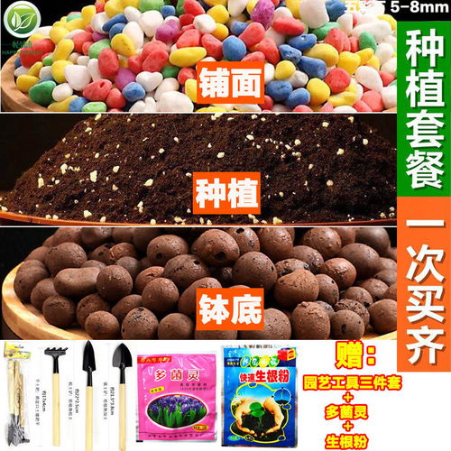 營(yíng)養(yǎng)土大包花土通用型多肉土養(yǎng)花種菜種植土綠蘿花卉泥土壤多規(guī)格