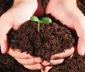 都知道生物菌肥好,但你知道怎么用嗎