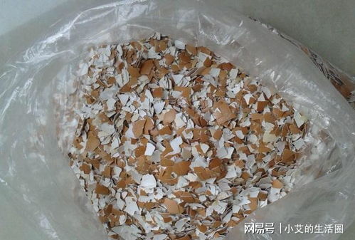 買什么營養土,這5種摻一起,比營養土好10倍,養什么花都瘋長