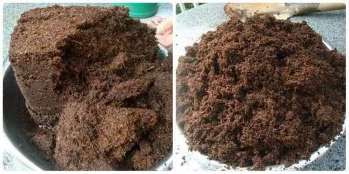 椰糠養花,方便實用,還買啥營養土呀 一塊椰糠磚種滿一陽臺