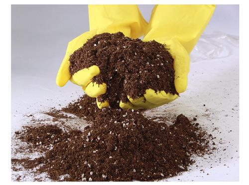 昂貴的營養土,調配有秘方,3種材料一搭配,就是萬能養花土