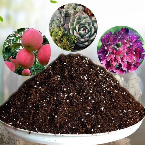花土營養(yǎng)土種植土通用型多肉營養(yǎng)土綠蘿專用土花泥種菜種花營養(yǎng)土