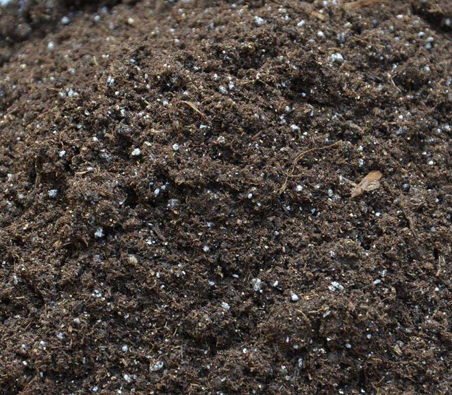 栽種多肉植物的&ldquo;常用土壤種類&rdquo;你知道的有哪些?