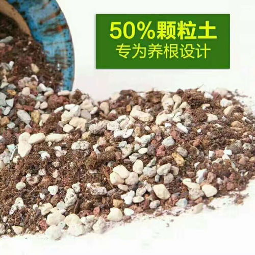 多肉植物營養土彩虹石蘭花土泥炭土鋪面石麥飯石火山巖5斤防爛根
