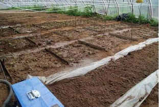 土肥檢測(cè)中心在漢成立 萬(wàn)億土壤治理改良市場(chǎng)可期