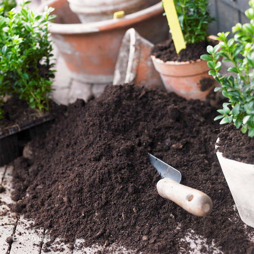 家庭園藝用品肥料種植營(yíng)養(yǎng)土花卉有機(jī)肥通用型花肥種菜種花營(yíng)養(yǎng)土