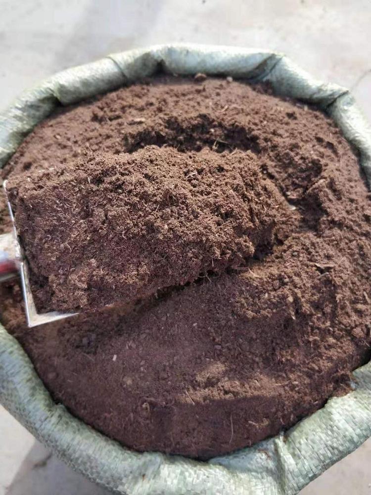 草炭土 泥炭土 營(yíng)養(yǎng)土 育苗基質(zhì)廠家直銷
