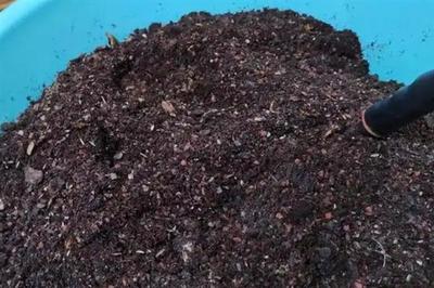 營養土如何配制,分為腐葉營養土、煤渣營養土等