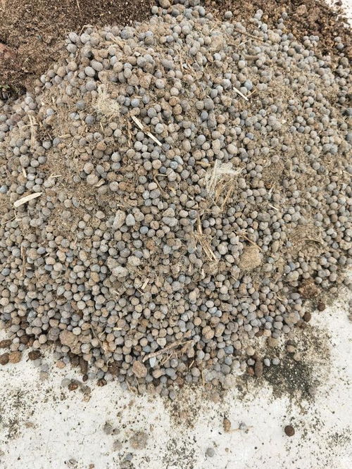 營養(yǎng)土不用買,3種 廢物 摻一摻,肥的流油,養(yǎng)花一級(jí)棒