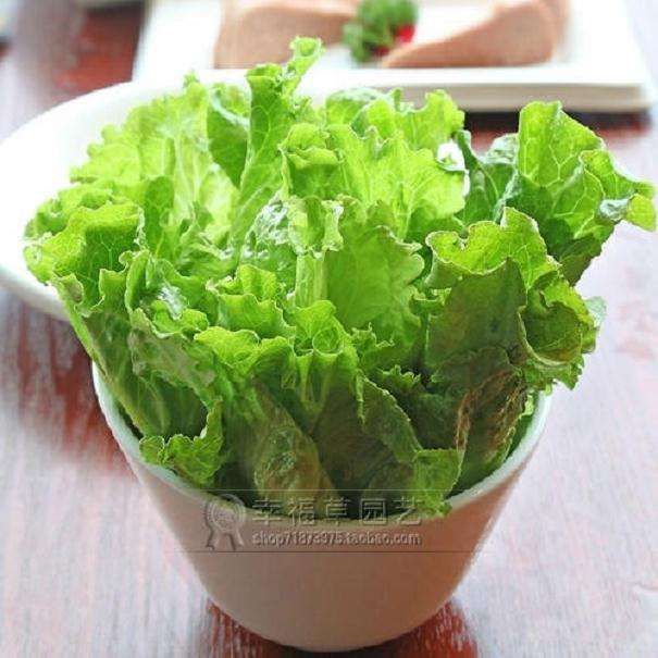 蔬菜盆栽器具和營養(yǎng)土準(zhǔn)備