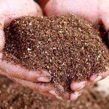 干貨!用這10種&ldquo;廢品&rdquo;養月季花、梔子花,比買來的營養土都好使