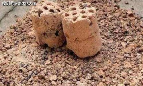 想要自制老花匠偏愛的營養(yǎng)土,就先準備好草木灰 松針 煤渣吧