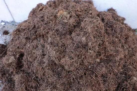 有一種營(yíng)養(yǎng)土,開(kāi)春正好用,肥力比普通的要豐厚,養(yǎng)花好處多