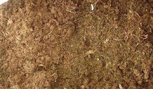 教你搭配養(yǎng)分高的營養(yǎng)土,幾種土壤搭配在一起,養(yǎng)花超級(jí)好用