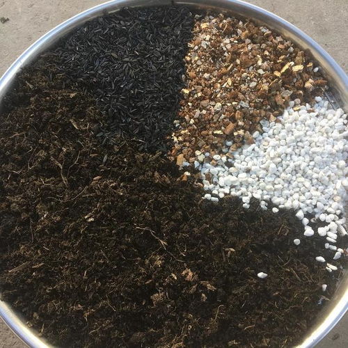 2位高材生一年賣“土”做到行業(yè)老大，月賺4000萬的營養(yǎng)土生意，你看懂了嗎？