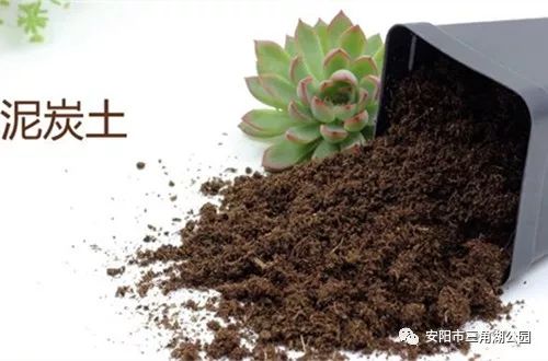 花卉營(yíng)養(yǎng)土的科學(xué)配制方法