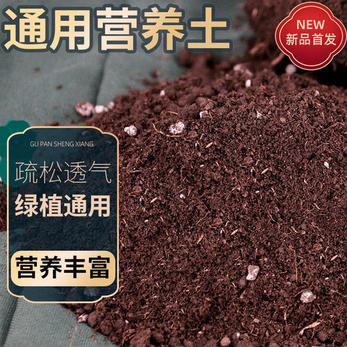 營(yíng)養(yǎng)土的多樣應(yīng)用 從通用種植到專業(yè)養(yǎng)護(hù)