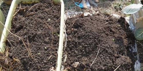 幾個(gè)小動(dòng)作，讓貧瘠板結(jié)的舊土回魂，勝過(guò)高價(jià)營(yíng)養(yǎng)土