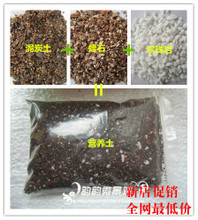 泥炭土、珍珠巖與蛭石 打造理想營養土的全方位指南