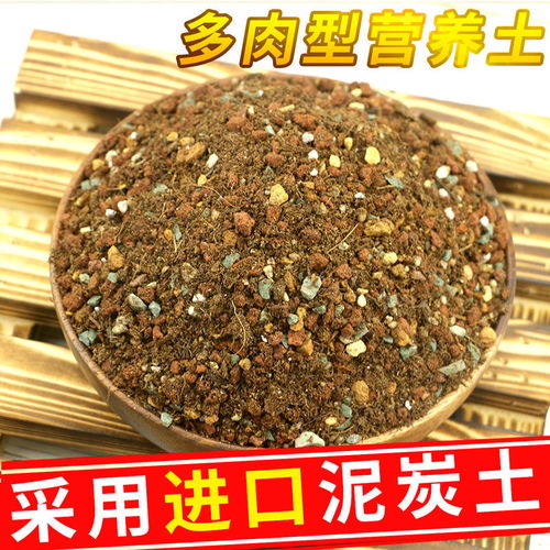 奧蘊多肉專用營養土 為您的多肉植物提供專業呵護