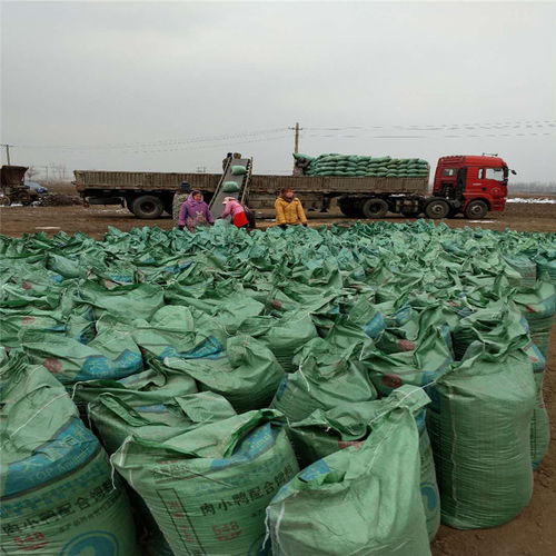 安徽池州雞糞干生產(chǎn)廠家專業(yè)供應優(yōu)質營養(yǎng)土，歡迎垂詢