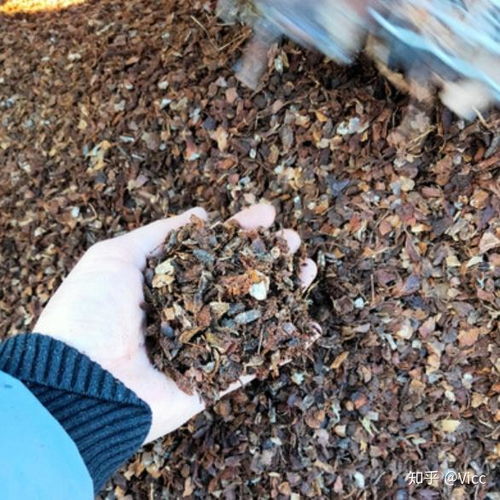 泥炭、椰磚、營養(yǎng)土、顆粒土、黑土 常見種植基質比較