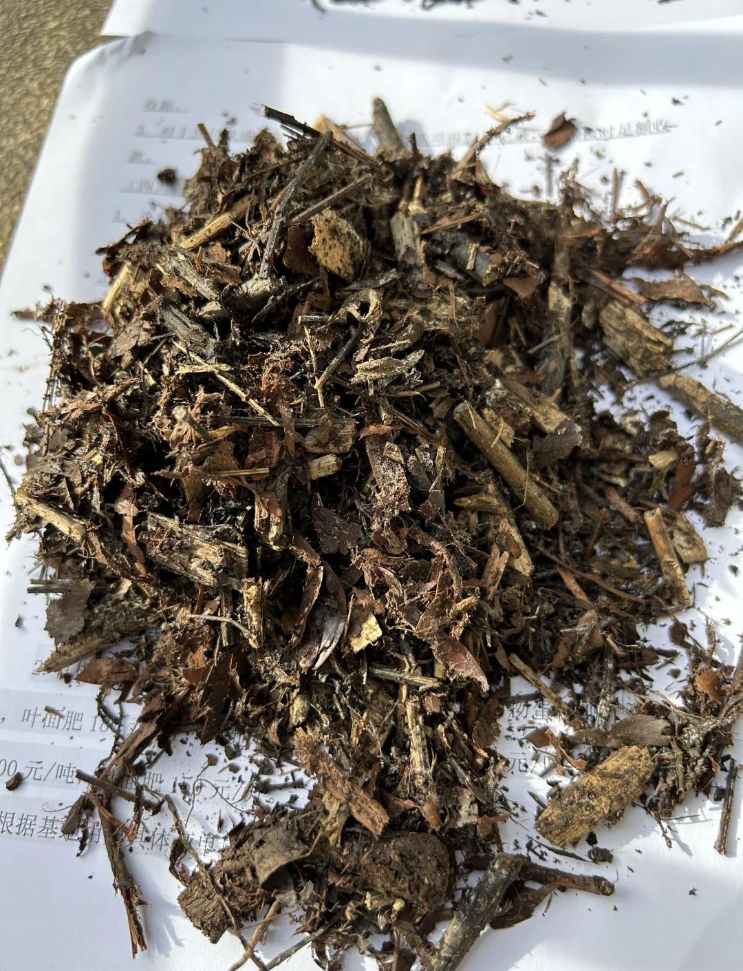 純藥渣發酵的營養土 環保與高效農業的新選擇