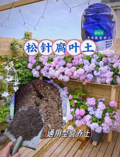 松針腐葉土 花卉蔬菜的超級營養土