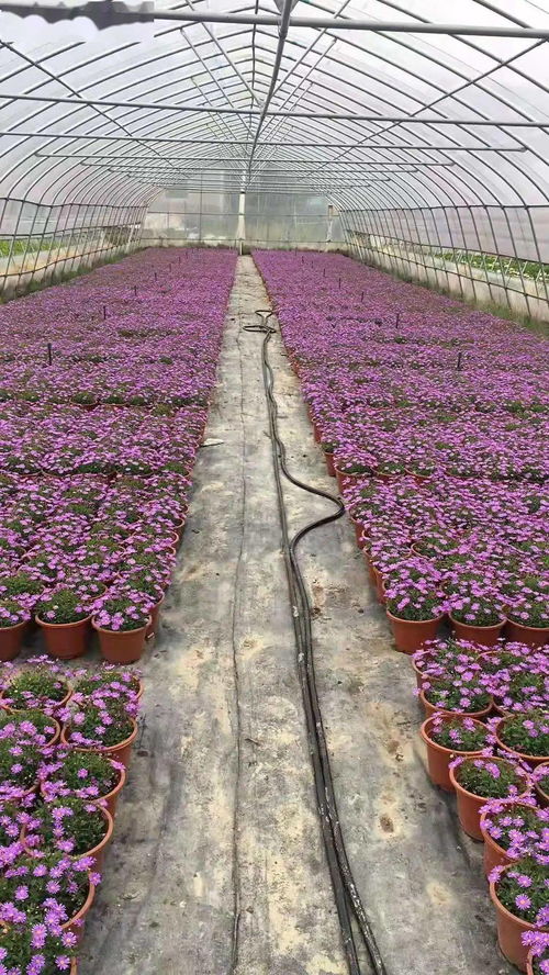 綠之林資材中心12月展示活動 空間營造專場營養土專題