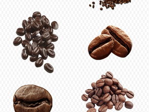 手繪卡通食品素材 可可巧克力咖啡豆的創(chuàng)意應(yīng)用與資源下載