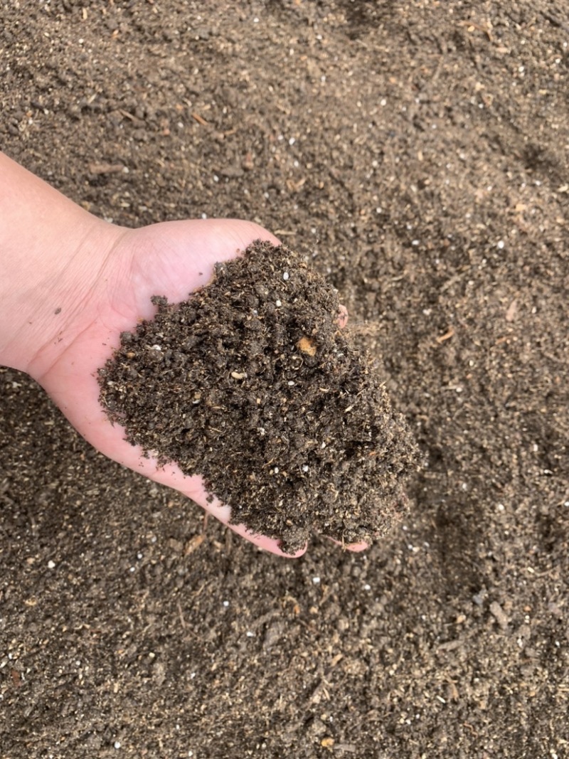 肇慶高要區(qū)優(yōu)質(zhì)育苗基質(zhì) 經(jīng)濟實用的泥炭土營養(yǎng)土選擇