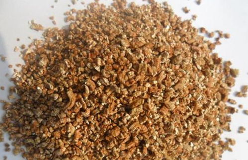 自制營養(yǎng)土，打造理想家園 三種材料輕松調(diào)配專屬配方