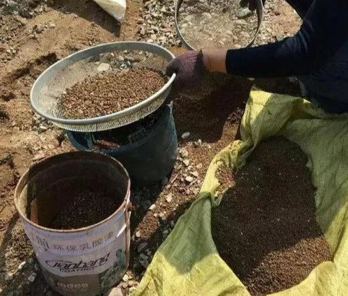 自制營養(yǎng)土 養(yǎng)花不花錢，添上這幾樣，比買的還好！