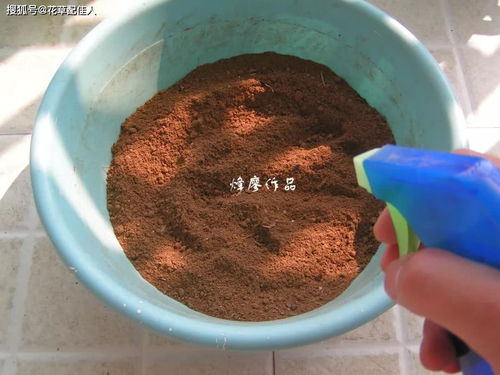 竹林深處藏寶土 天然腐殖土，養(yǎng)花勝買(mǎi)土