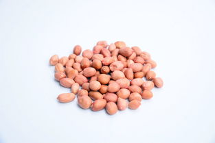 生花生米高清設計素材及飲品美食營養大全